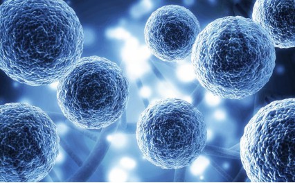 Cell Transfection and Cell Recognition