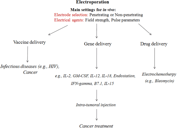 Common applications of electroporation 